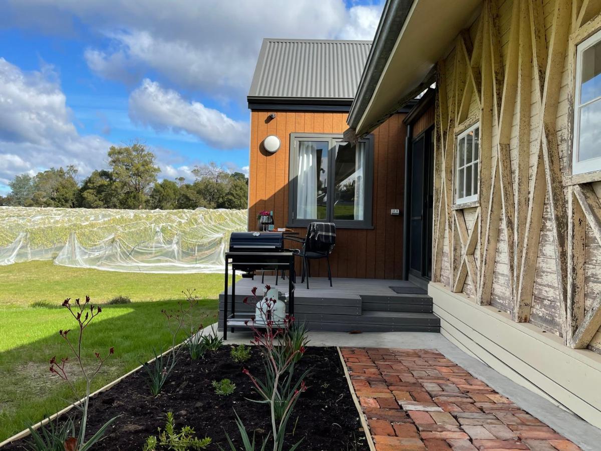 Villa Nest- Luxury Vineyard *